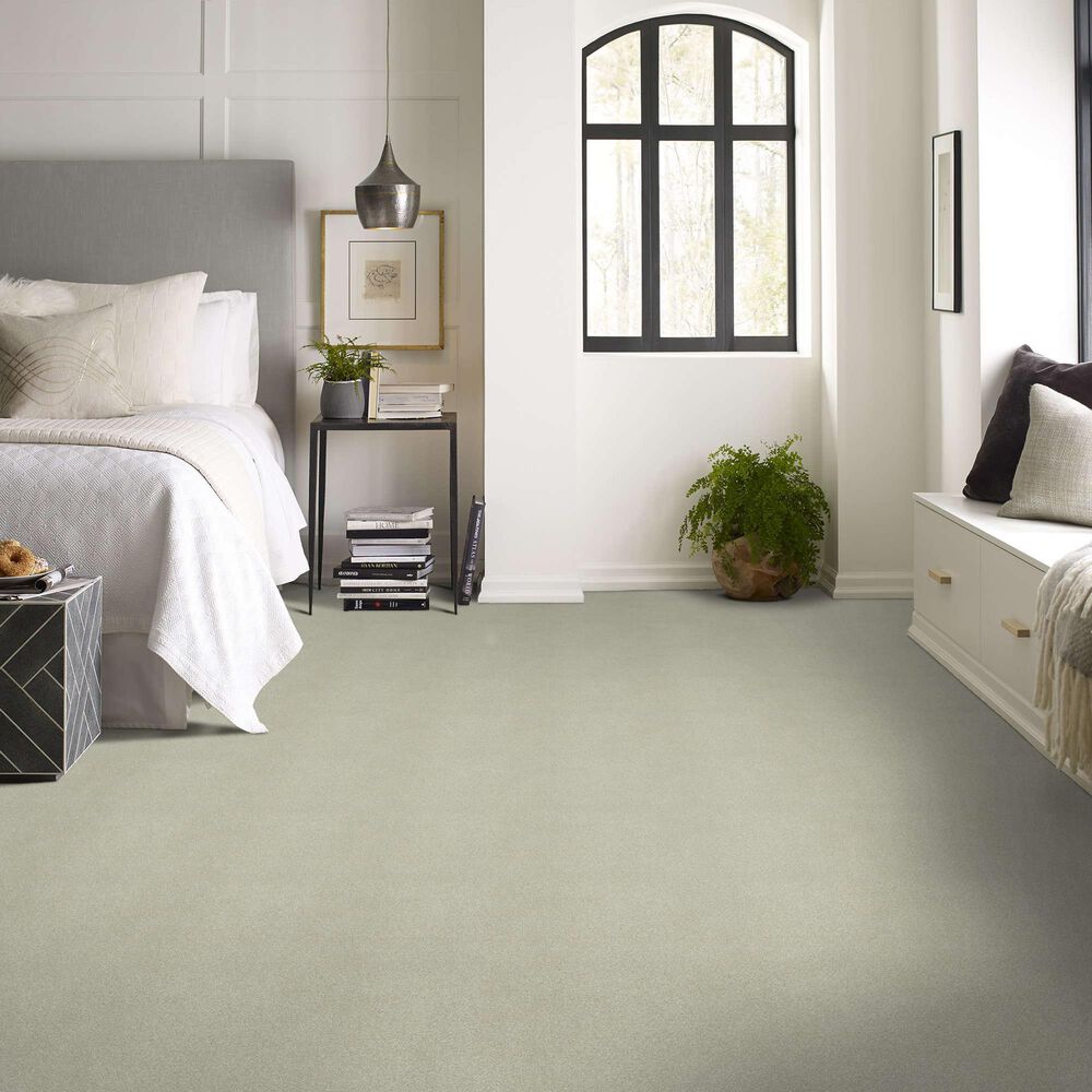 Shaw Your Comfort I Carpet in Willow Tree, , large