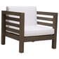 Hearth and Haven Oana Outdoor Club Chair with Cushion in Gray, , large