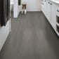Shaw Dwell Hearthstone Grey 9" x 60" Luxury Vinyl Plank, , large