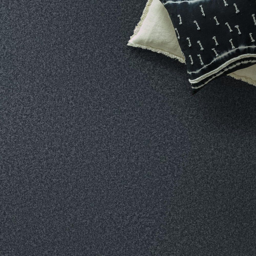 Shaw You Got This II Carpet in Refined, , large