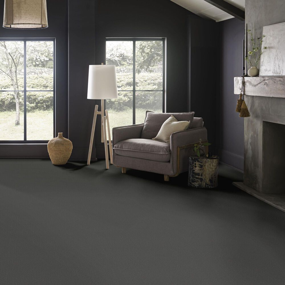 Anderson Tuftex Finery Carpet in Anchor, , large