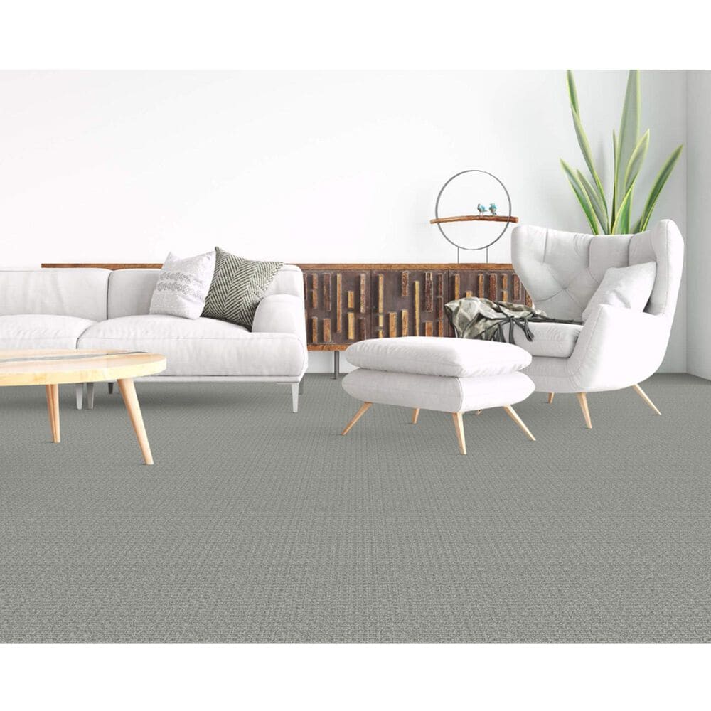 Dixie Home Affinity Carpet in Quarry, , large
