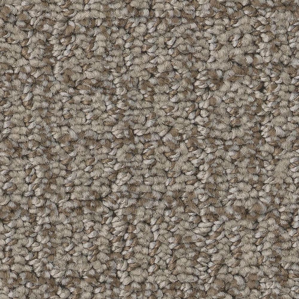 Shaw Path Home Carpet in Chic Greige, , large