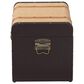 Baxton Studio Manton Storage Trunk with Hinged Top in Light, Dark Brown and Bronze, , large