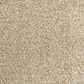 Mohawk Assorted Elements I Carpet in Crystalline, , large