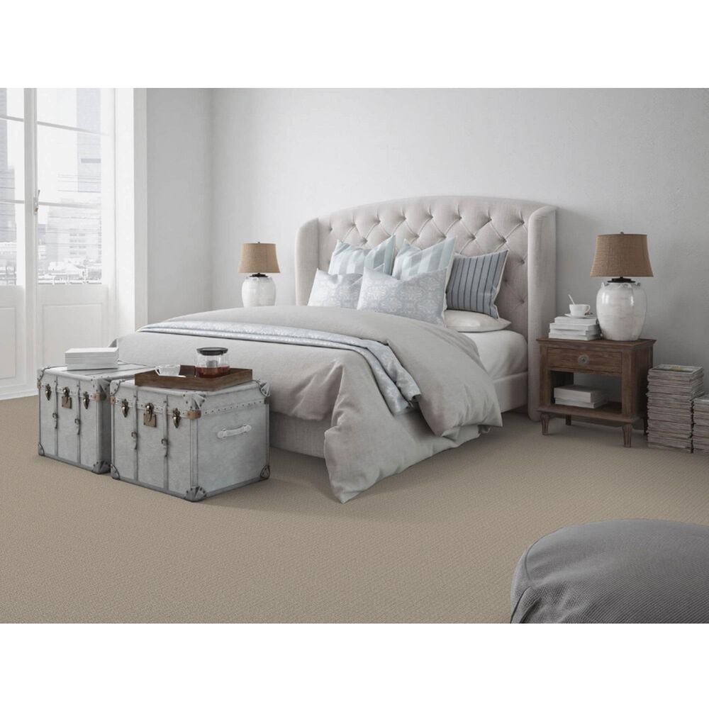Dixie Home Affinity Carpet in Mineral, , large