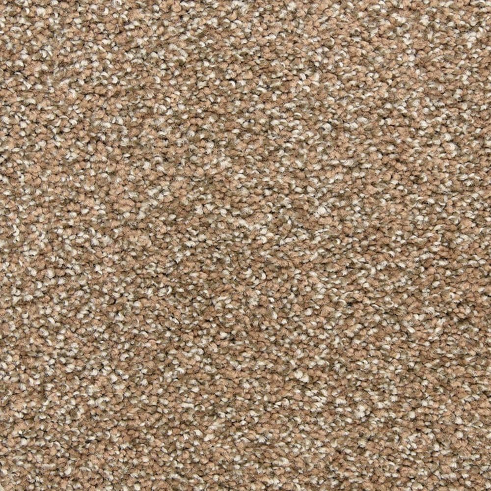 Dixie Home Natural Beauty Carpet in Chocolate, , large