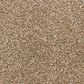 Dixie Home Natural Beauty Carpet in Chocolate, , large