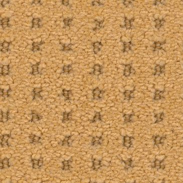 Philadelphia Caress Soft Symmetry Carpet in Turmeric, , large