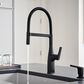 Blanco Rivana Semi Pro Kitchen Faucet 1.5 GPM in Matte Black, , large