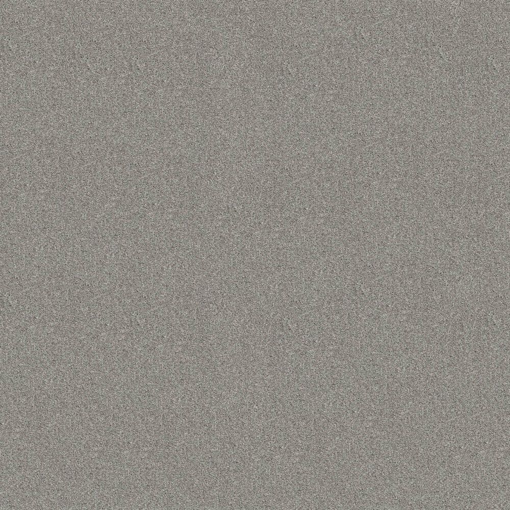 Shaw Tonal Comfort Ii Carpet in Restful Day, , large