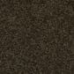 Godfrey-Hirst Opulent Collection Carpet in Stable, , large