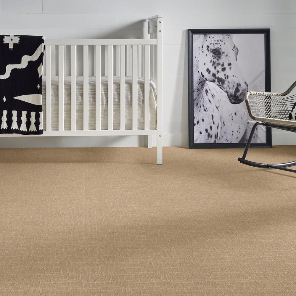 Anderson Tuftex New Tricks Carpet in Monterey, , large