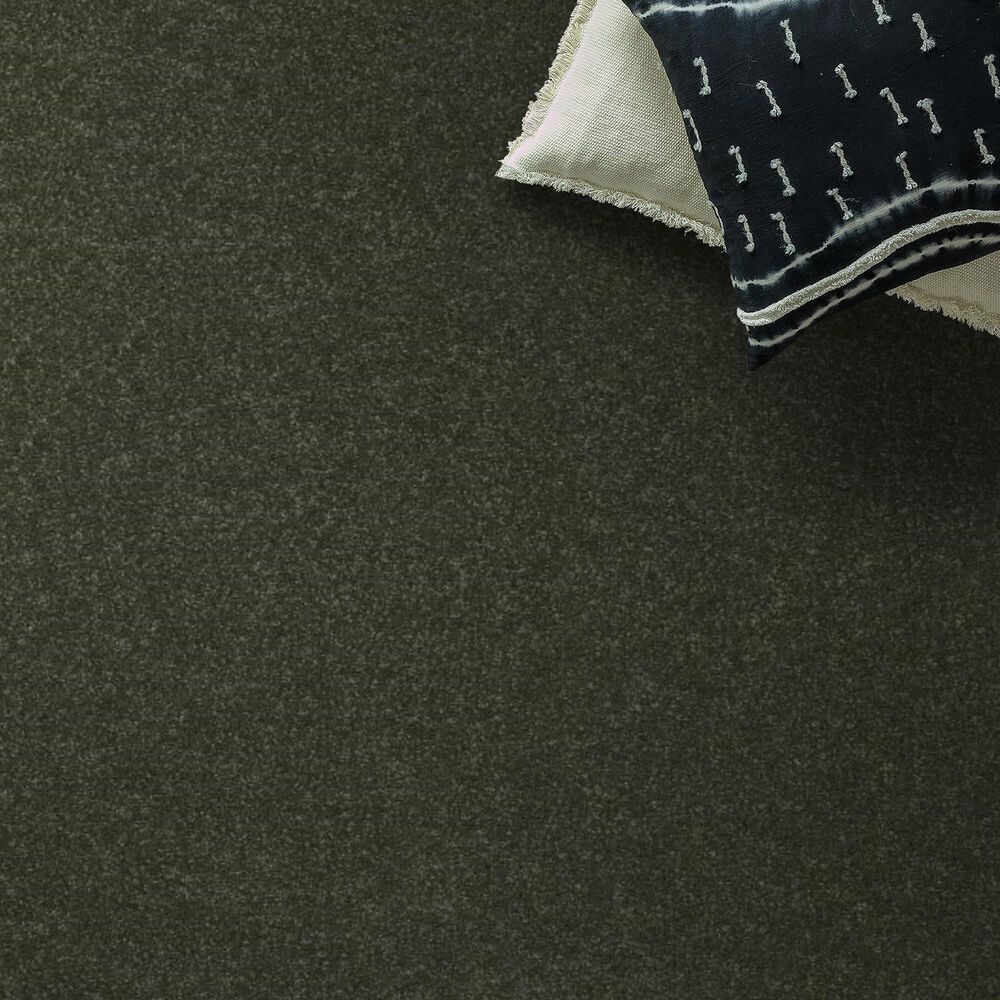 Shaw Hard At Play II Carpet in Rerooted Nature, , large