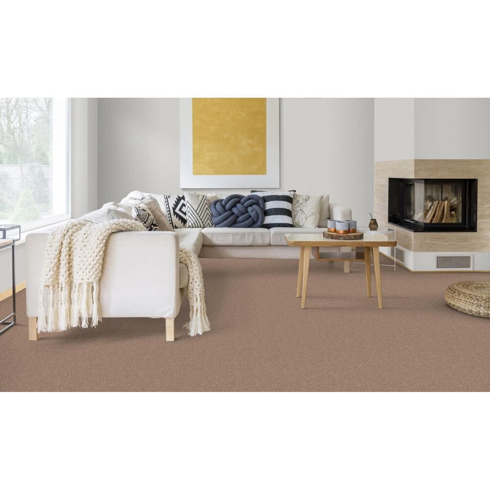 Dixie Home Bella Carpet in Bark, , large