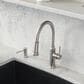Blanco Empressa Pull-Down Kitchen Faucet 1.5 GPM in PVD Steel, , large