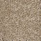 Shaw Find Your Comfort NS I Carpet in Camping Trip, , large