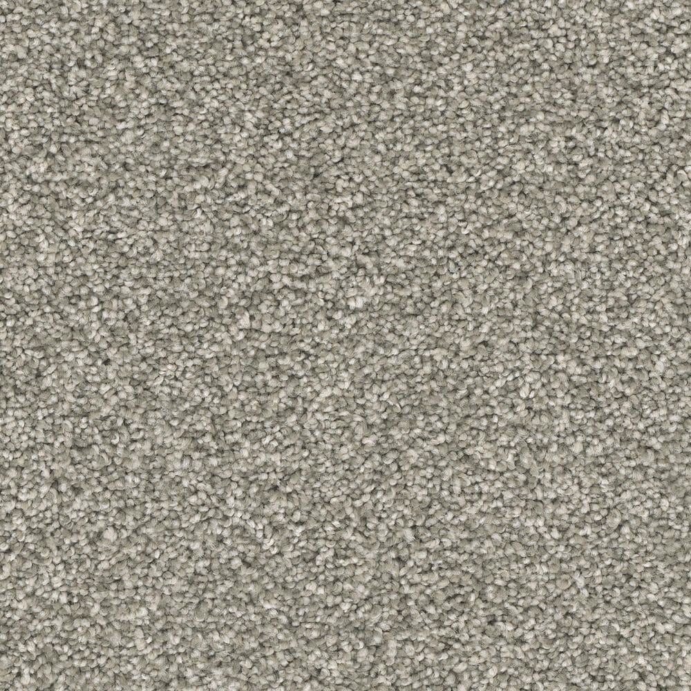 Phenix Paxton Carpet in Lavish, , large