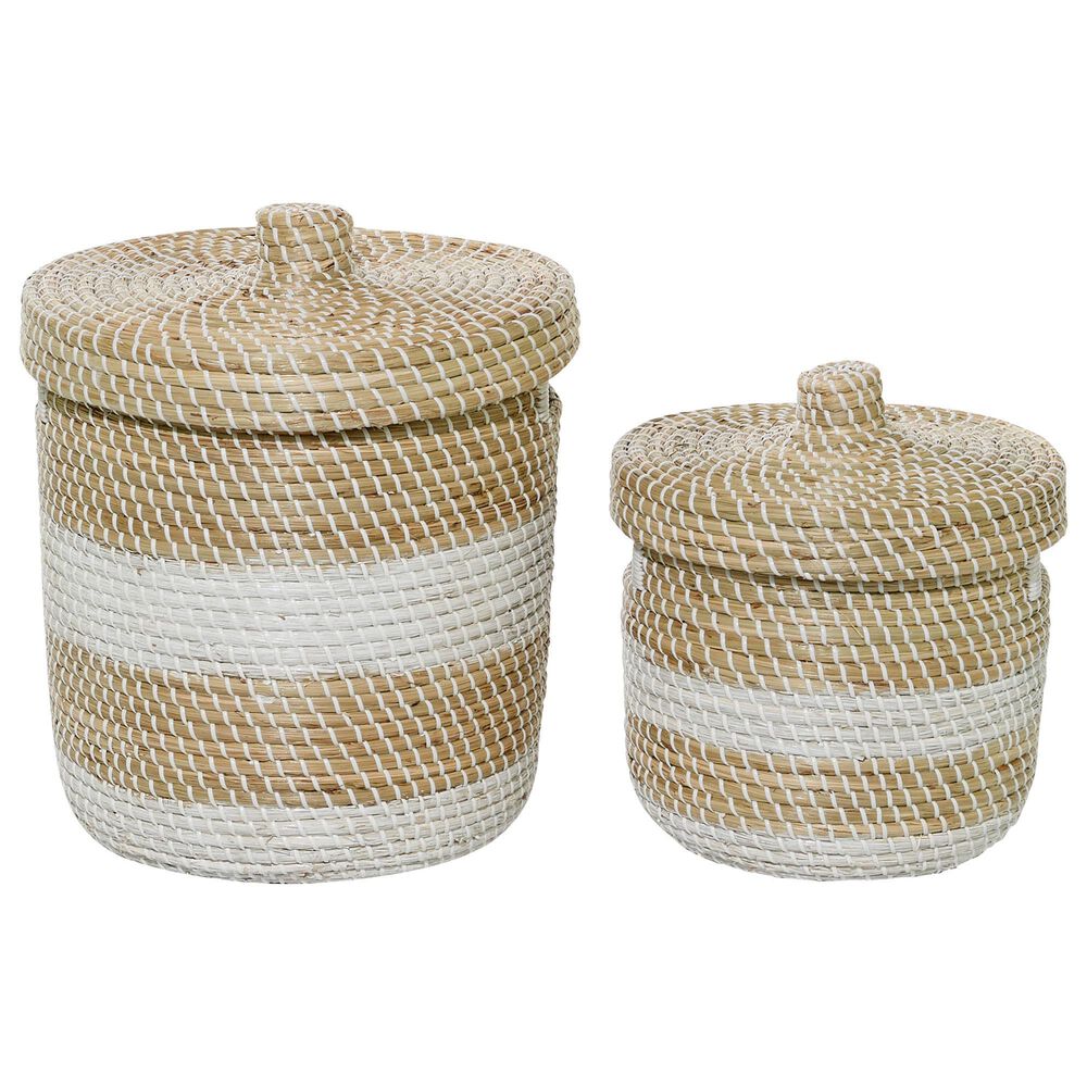 Maple and Jade Seagrass Coastal Storage Basket in Brown and White (Set of 2), , large