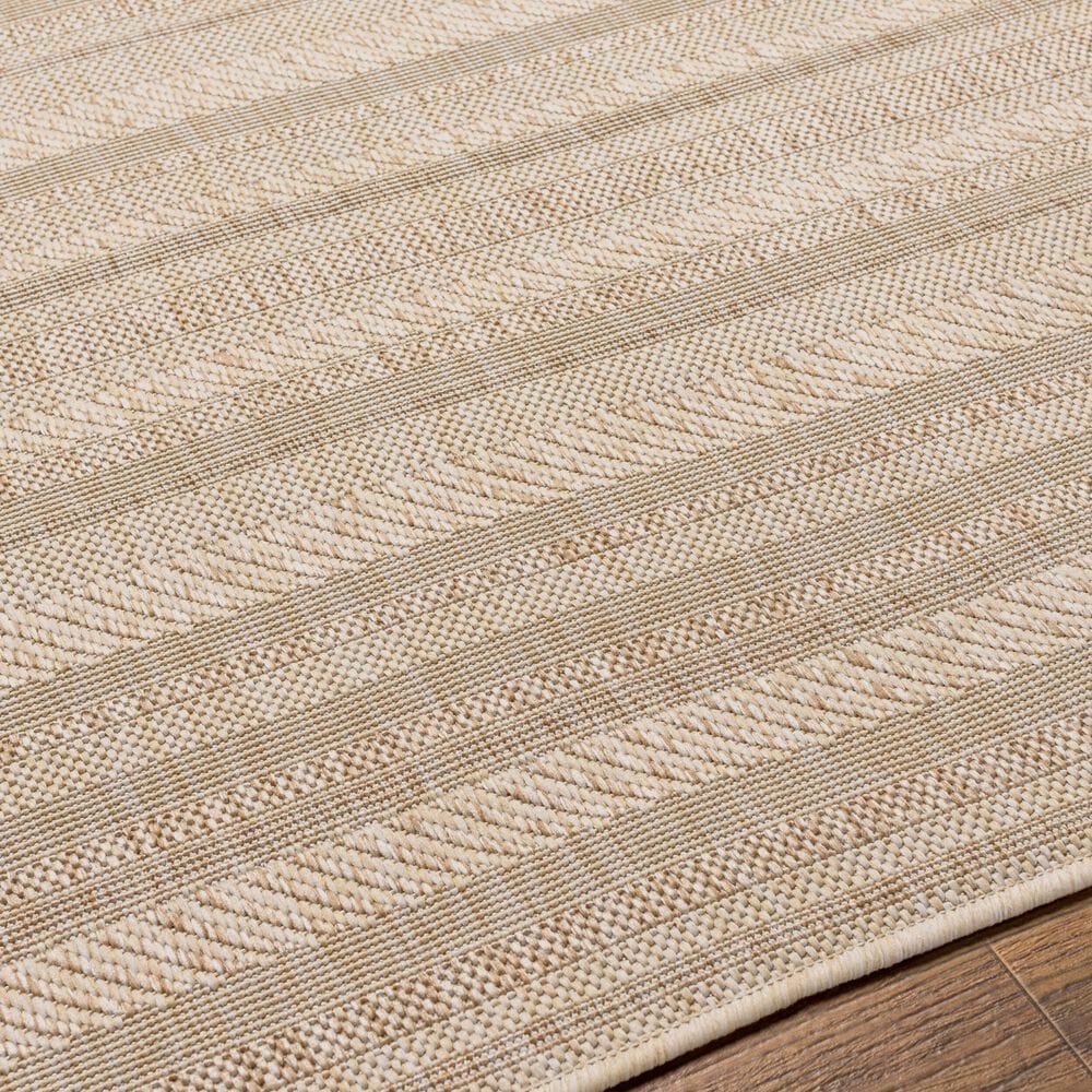 Surya Eagean EAG-2409 Light Beige, Brown, Cream and Light Brown 2&#39; x 2&#39;11&quot; Indoor/Outdoor Area Rug, , large