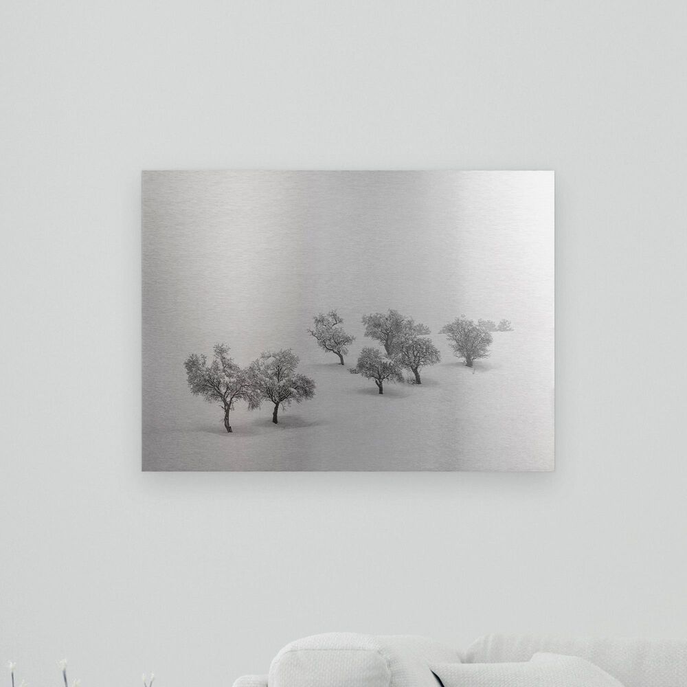Timberlake Antonio Carrillo Lopez "White Carpet" 16" x 22" Floating Brushed Aluminum Art, , large