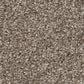 Shaw Grand Outlook Carpet in Pea Gravel, , large
