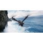 HoverAir V-Copter Falcon Mini Combo in Black, , large