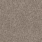 Shaw See Me Carpet in Chalet, , large