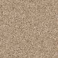 Anderson Tuftex Enduring Charm Carpet in Brulee, , large