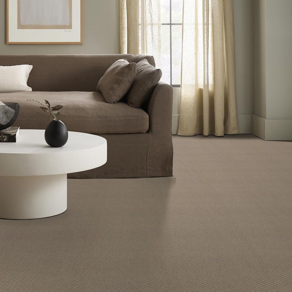 Anderson Tuftex Cathedral Grove Carpet in Smoky Pearl, , large