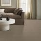 Anderson Tuftex Cathedral Grove Carpet in Smoky Pearl, , large