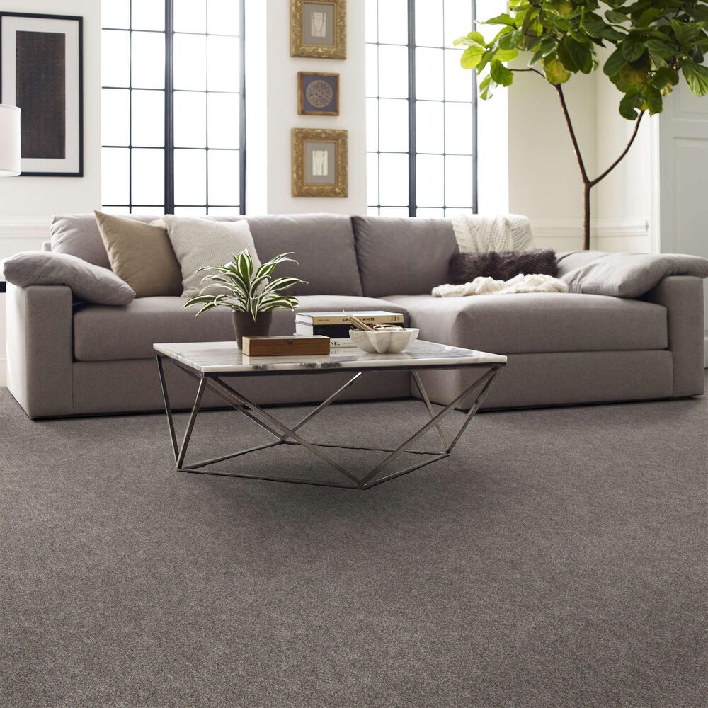 Shaw Grand Outlook Carpet in Mission Ridge, , large