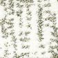 Shaw Bellera Obvious Choice Carpet in Super Fine, , large
