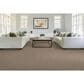 Mohawk Hometown Charm Carpet in Town Square, , large