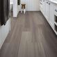 Shaw Pantheon HD+ Natural Bevel Smoke 7" x 48" Luxury Vinyl Plank, , large