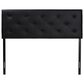 Baxton Studio Baltimore Queen Upholstered Panel Headboard in Black, , large