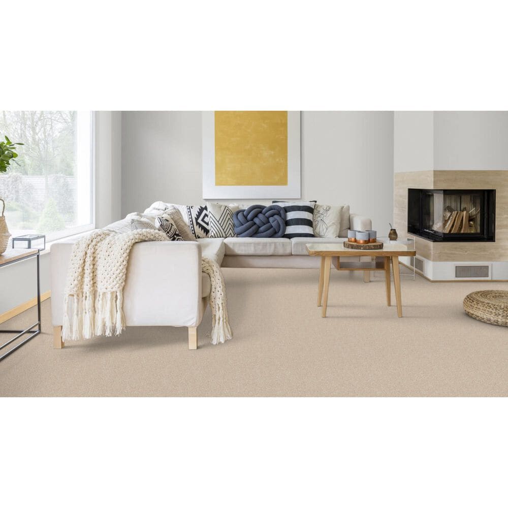 Dixie Home Bella Carpet in Bulldog, , large