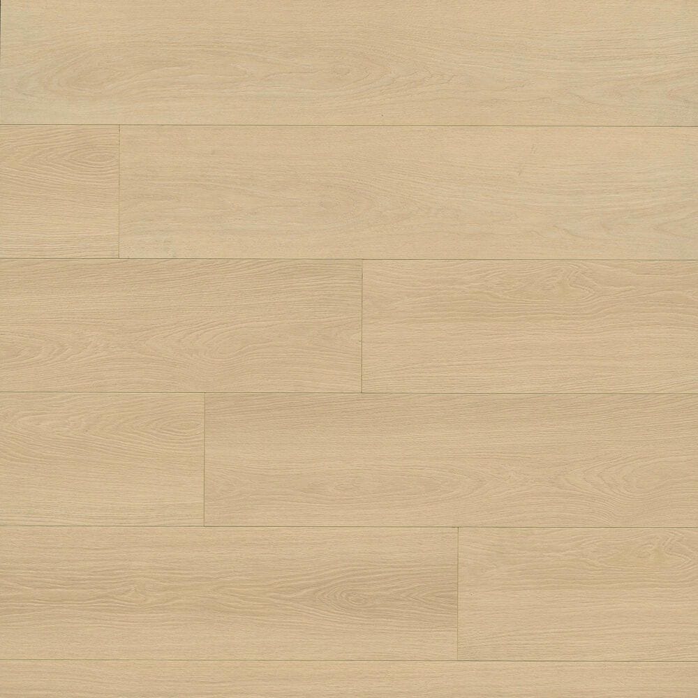 MS International Shorecliffs Houston Trail 9" x 87" Luxury Vinyl Plank, , large