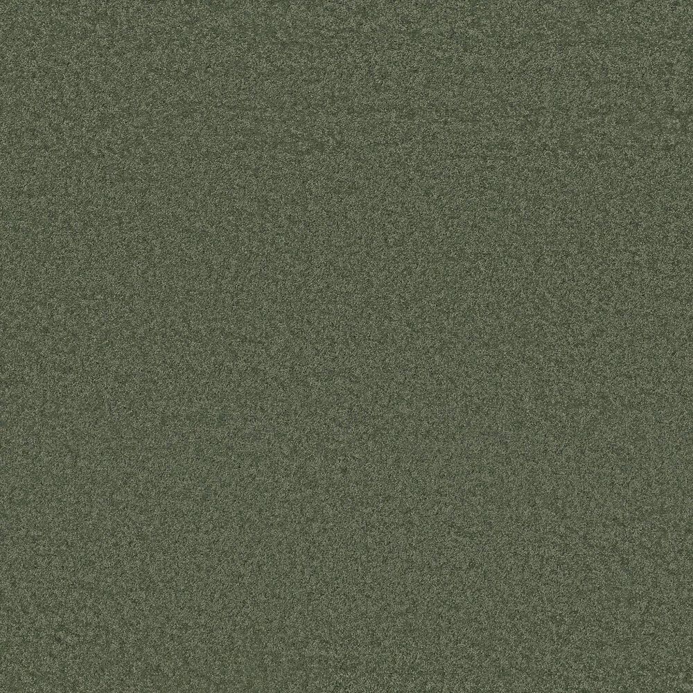 Anderson Tuftex Enchanting Carpet in Bereyl, , large