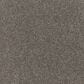 Godfrey-Hirst Impressive Shades Carpet in Frontier, , large