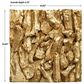 Uttermost Rio 23.62" Square Wood Wall Decor in Gold Leaf, , large