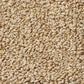 Anderson Tuftex Bali Carpet in Amber Dawn, , large