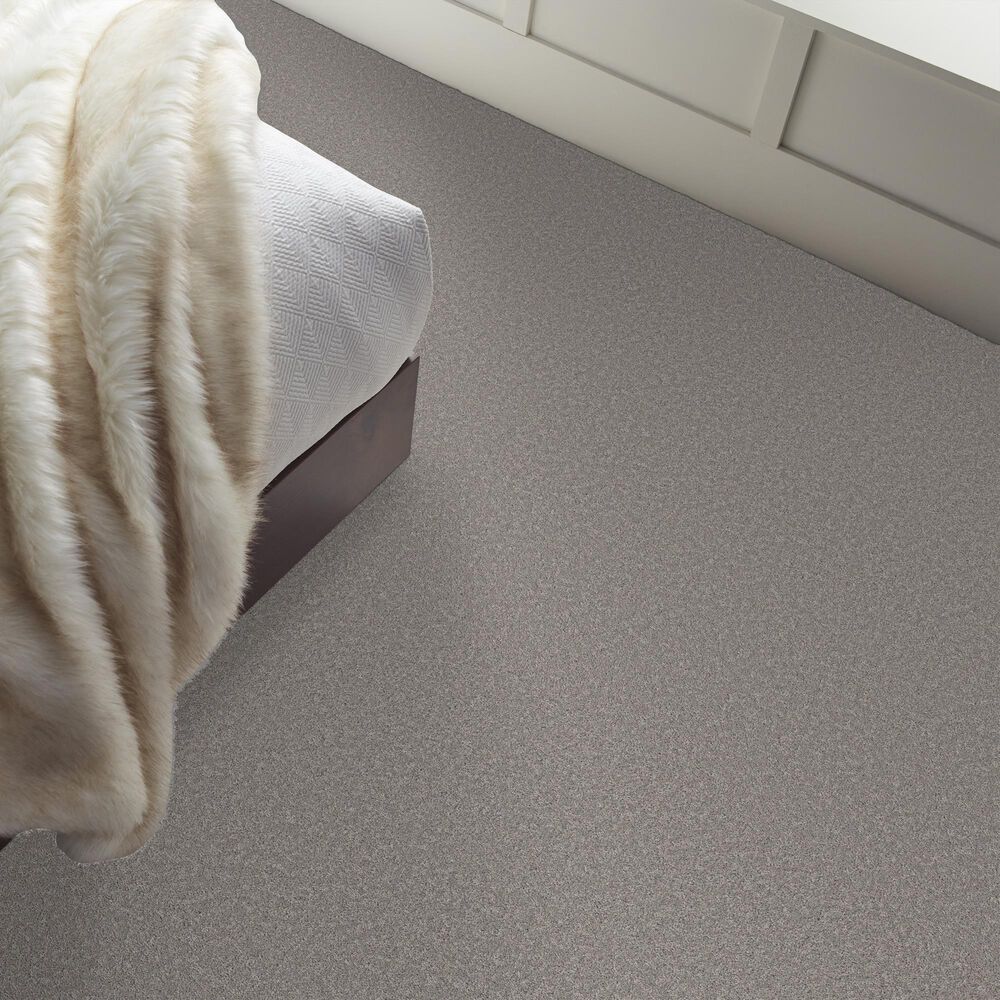 Philadelphia Champagne Taste I Carpet in Vintage, , large