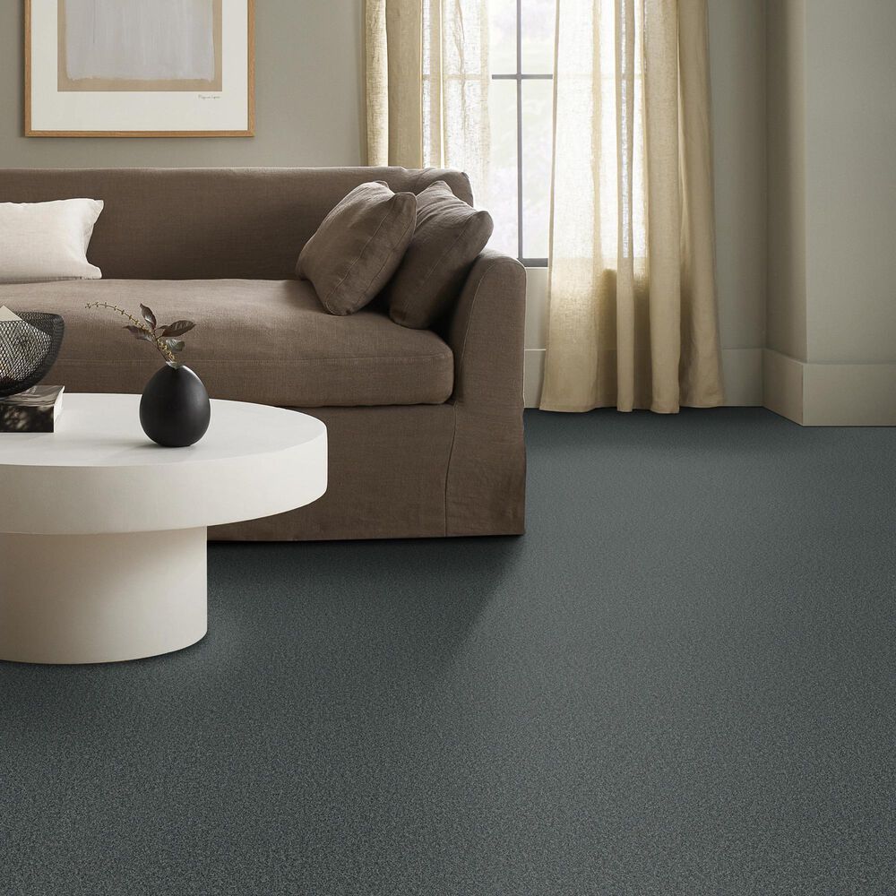 Anderson Tuftex Wyndham Estate Carpet in Grand Canal, , large