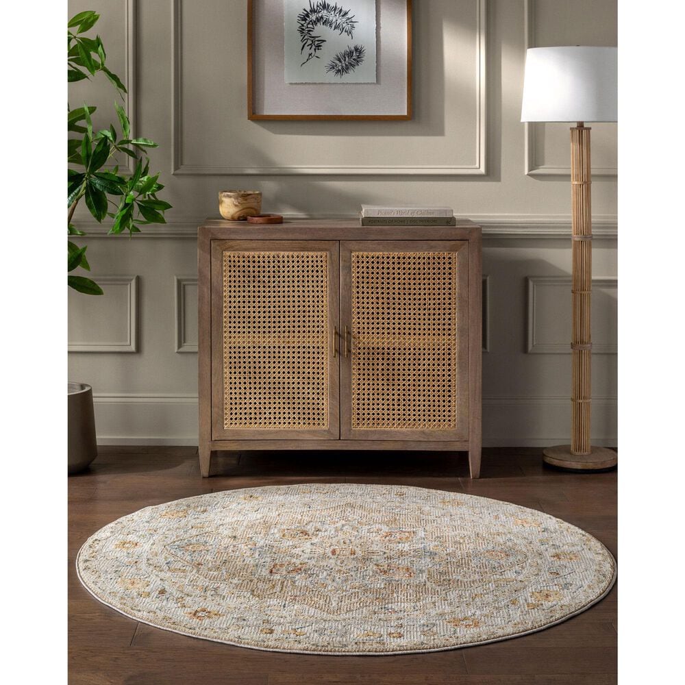 Surya Reina Tan, Light Gray, Medium Gray, Cream, Light Brown, Denim, Rust and Mustard 5&#39;3&quot; Round Area Rug, , large