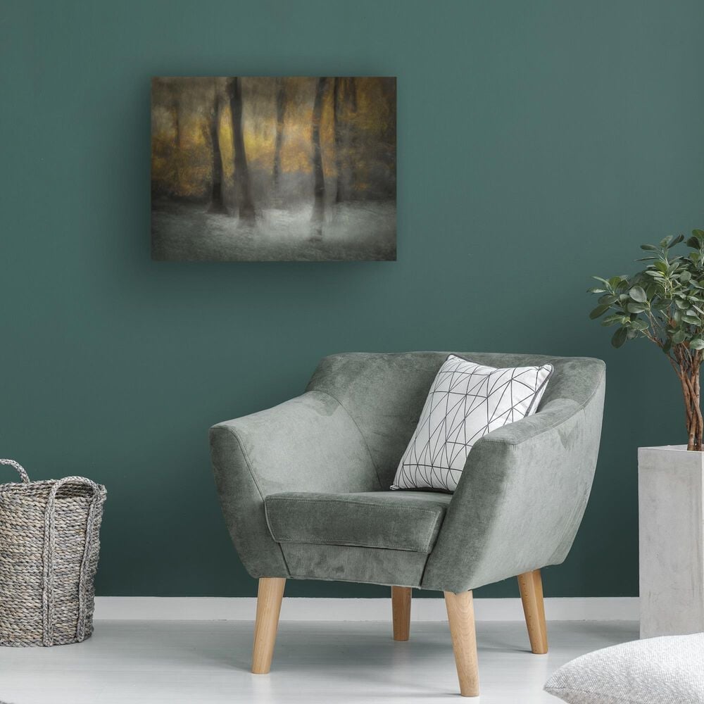 Timberlake Nel Talen 'Dancing Trees' 35" x 47" Canvas Art in Brown/Grey/Black, , large