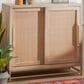Linon Home Decor Janie 2-Door Cabinet in Natural and Gold, , large