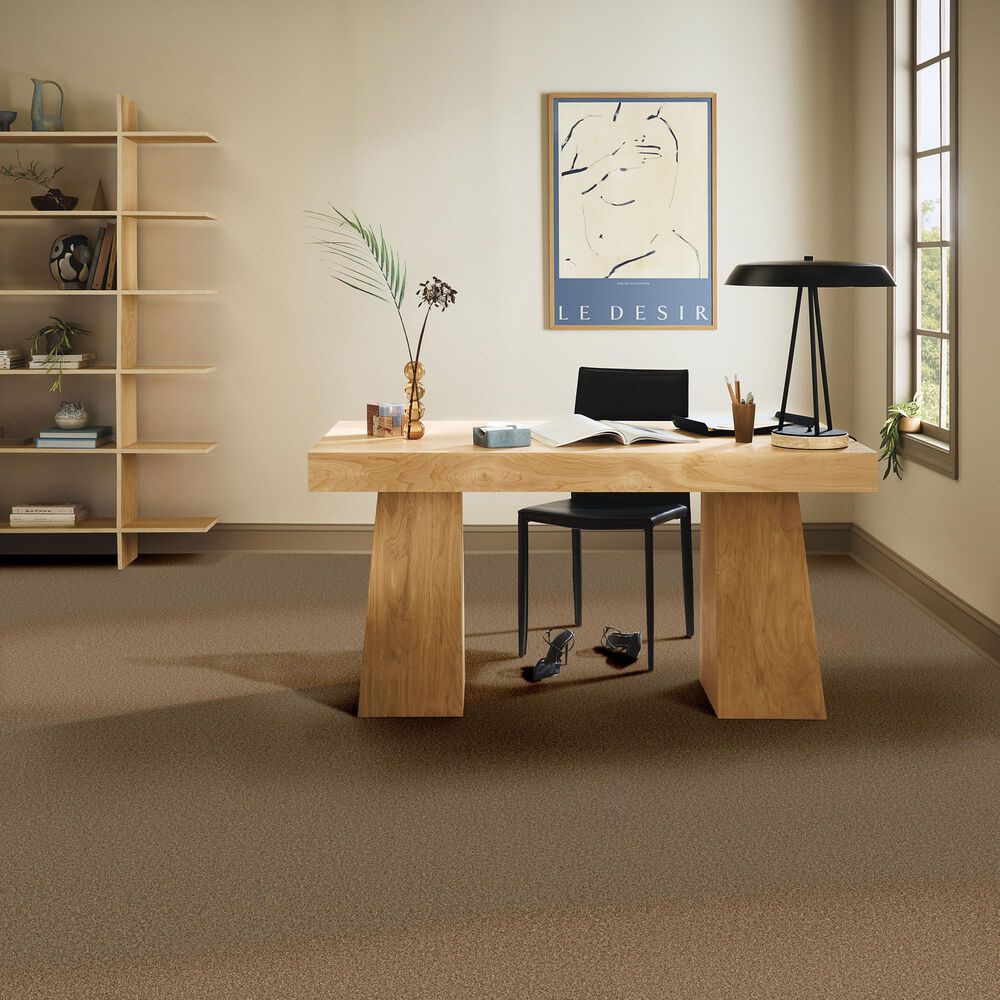 Anderson Tuftex Wyndham Estate Carpet in Nutshell, , large