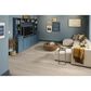 Shaw Pet Perfect Silk 7" x 60" Luxury Vinyl Plank, , large