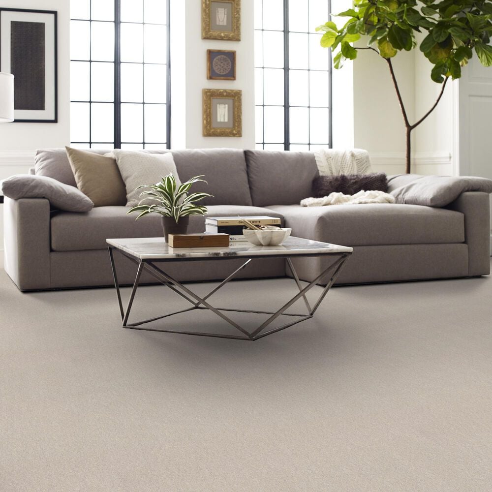 Shaw Easy Spirit II 12&#39; Carpet in Minimalist, , large